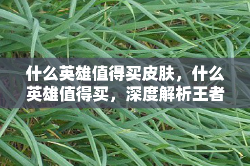 什么英雄值得买皮肤，什么英雄值得买，深度解析王者荣耀中的购买建议