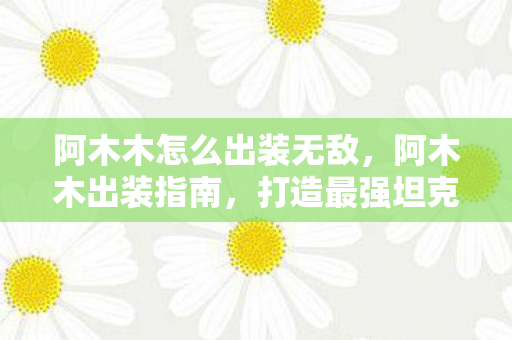 阿木木怎么出装无敌，阿木木出装指南，打造最强坦克