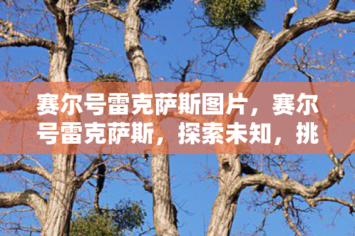 赛尔号雷克萨斯图片，赛尔号雷克萨斯，探索未知，挑战极限