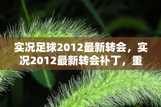 实况足球2012最新转会，实况2012最新转会补丁，重塑绿茵传奇