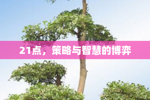 21点，策略与智慧的博弈