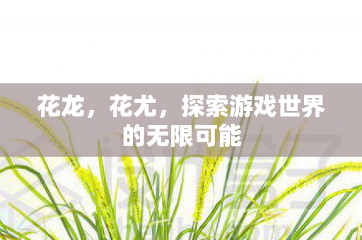 花龙，花尤，探索游戏世界的无限可能