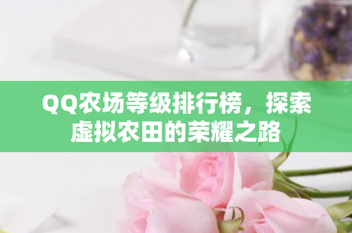 QQ农场等级排行榜，探索虚拟农田的荣耀之路