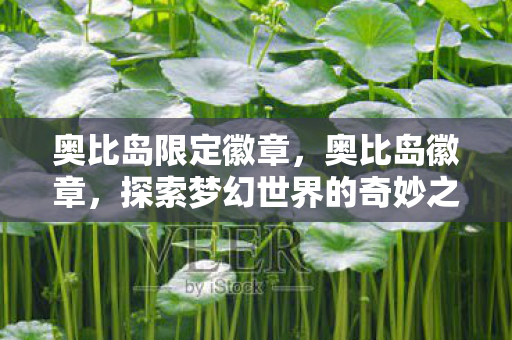 奥比岛限定徽章，奥比岛徽章，探索梦幻世界的奇妙之旅