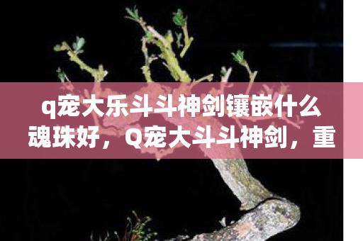q宠大乐斗斗神剑镶嵌什么魂珠好，Q宠大斗斗神剑，重温经典，探索无限可能