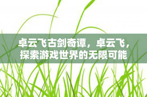 卓云飞古剑奇谭,卓云飞,探索游戏世界的无限可能 卓云飞古剑奇谭,卓云飞,探索游戏世界的无限可能