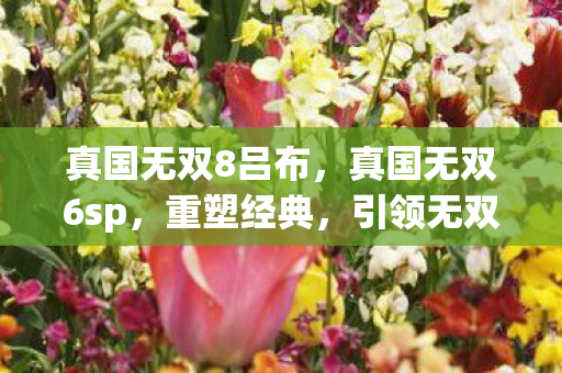 真国无双8吕布,真国无双6sp,重塑经典,引领无双新纪元 真国无双8吕布,真国无双6sp,重塑经典,引领无双新纪元