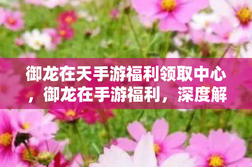 御龙在天手游福利领取中心，御龙在手游福利，深度解析游戏内丰厚奖励与活动