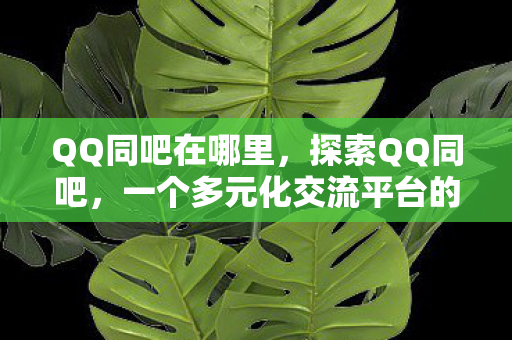 QQ同吧在哪里，探索QQ同吧，一个多元化交流平台的魅力与潜力