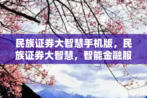 民族证券大智慧手机版，民族证券大智慧，智能金融服务的领航者