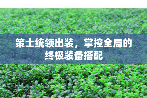 策士统领出装，掌控全局的终极装备搭配