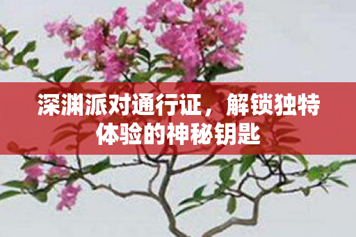 深渊派对通行证,解锁独特体验的神秘钥匙 深渊派对通行证,解锁独特体验的神秘钥匙