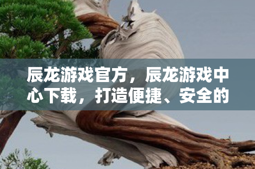 辰龙游戏官方，辰龙游戏中心下载，打造便捷、安全的游戏体验