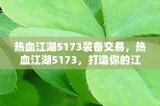 热血江湖5173装备交易，热血江湖5173，打造你的江湖梦
