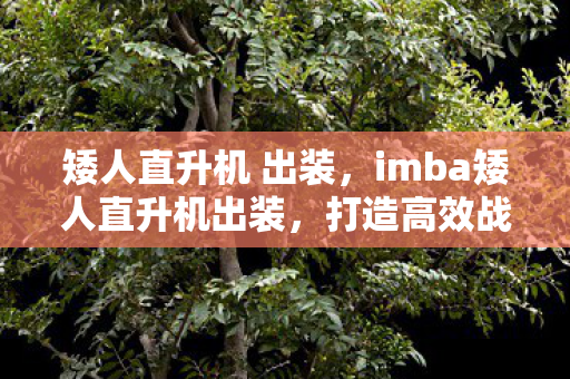 矮人直升机 出装，imba矮人直升机出装，打造高效战斗机器