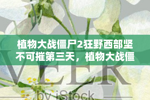 植物大战僵尸2狂野西部坚不可摧第三天，植物大战僵尸2西部，坚不可摧的战术与策略