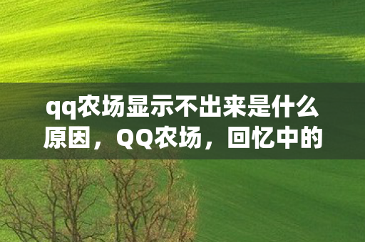 qq农场显示不出来是什么原因，QQ农场，回忆中的绿色田园与数字时代的变迁