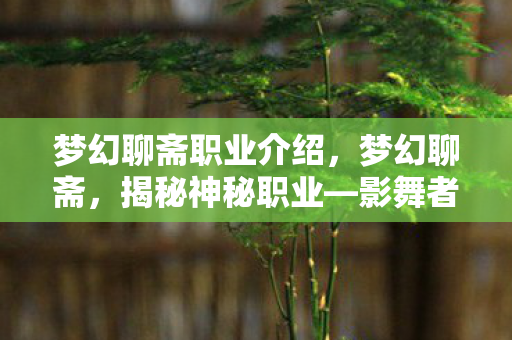梦幻聊斋职业介绍，梦幻聊斋，揭秘神秘职业—影舞者的传奇故事