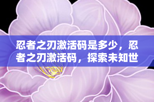 忍者之刃激活码是多少，忍者之刃激活码，探索未知世界的神秘钥匙