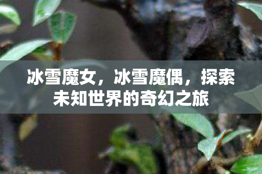 冰雪魔女，冰雪魔偶，探索未知世界的奇幻之旅