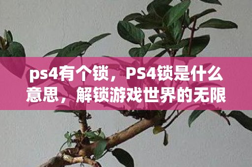 ps4有个锁，PS4锁是什么意思，解锁游戏世界的无限可能