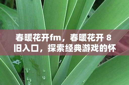 春暖花开fm，春暖花开 8 旧入口，探索经典游戏的怀旧之旅