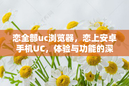 恋全部uc浏览器，恋上安卓手机UC，体验与功能的深度解析