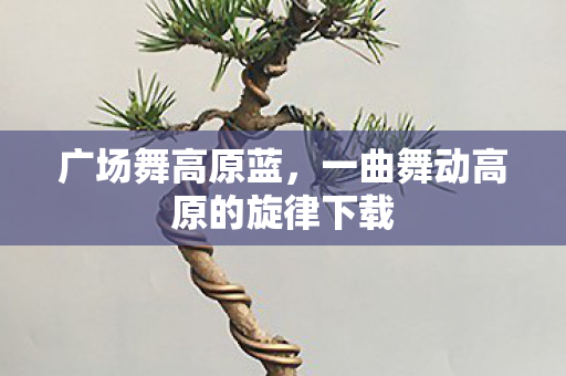 广场舞高原蓝，一曲舞动高原的旋律下载