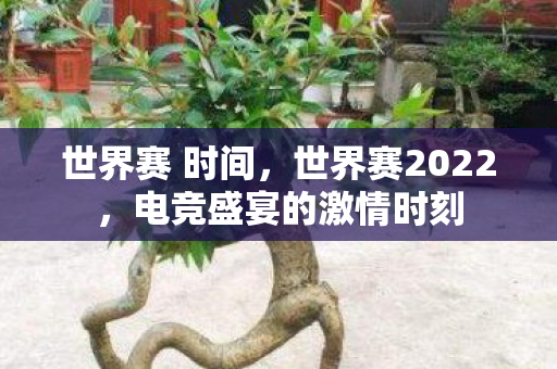 世界赛 时间，世界赛2022，电竞盛宴的激情时刻