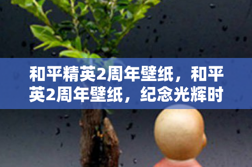 和平精英2周年壁纸，和平英2周年壁纸，纪念光辉时刻的永恒印记