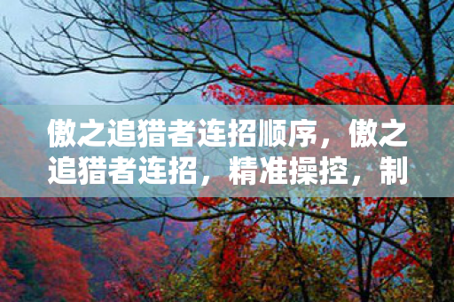 傲之追猎者连招顺序，傲之追猎者连招，精准操控，制胜一击