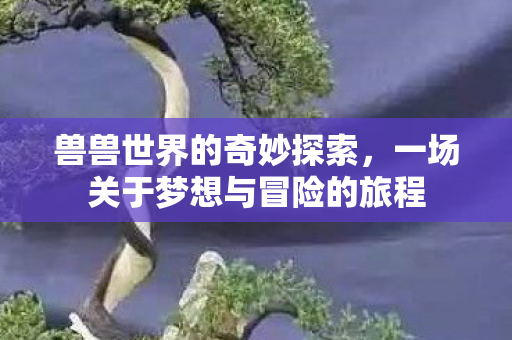 兽兽世界的奇妙探索，一场关于梦想与冒险的旅程