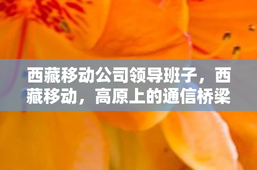 西藏移动公司领导班子，西藏移动，高原上的通信桥梁，助力西藏发展