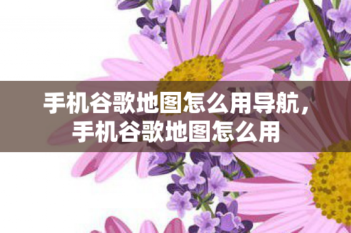 手机谷歌地图怎么用导航，手机谷歌地图怎么用