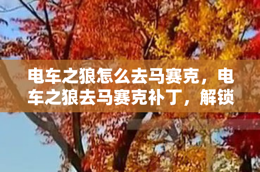 电车之狼怎么去马赛克，电车之狼去马赛克补丁，解锁视觉盛宴的必备神器