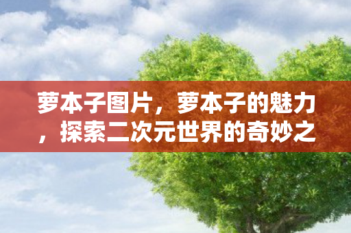 萝本子图片，萝本子的魅力，探索二次元世界的奇妙之旅