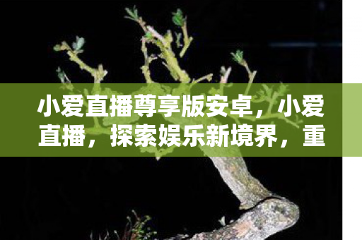 小爱直播尊享版安卓，小爱直播，探索娱乐新境界，重塑直播新体验