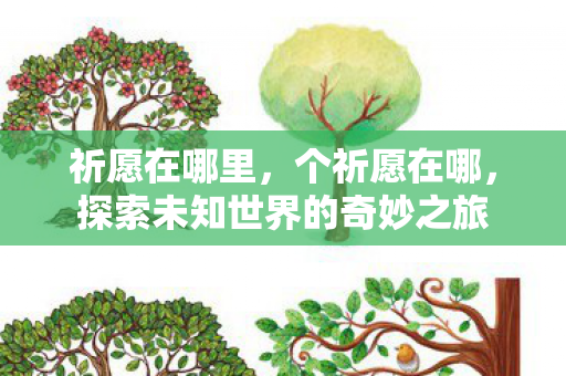 祈愿在哪里，个祈愿在哪，探索未知世界的奇妙之旅