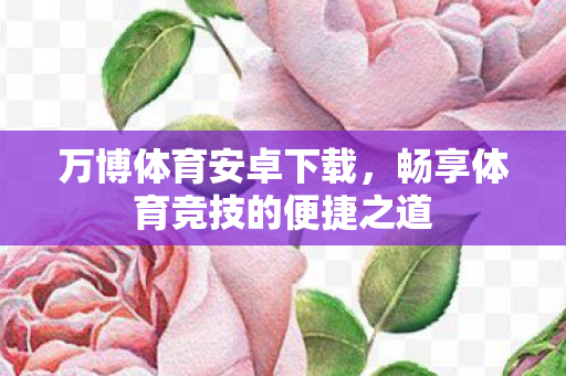 万博体育安卓下载,畅享体育竞技的便捷之道 万博体育安卓下载,畅享体育竞技的便捷之道