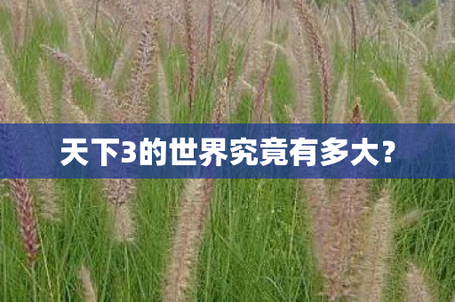 天下3的世界究竟有多大? 天下3的世界究竟有多大?