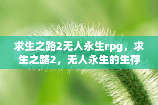 求生之路2无人永生rpg，求生之路2，无人永生的生存哲学