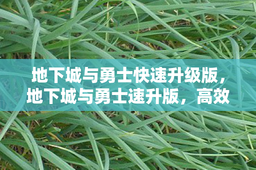 地下城与勇士快速升级版,地下城与勇士速升版,高效升级攻略与心得分享 地下城与勇士快速升级版,地下城与勇士速升版,高效升级攻略与心得分享