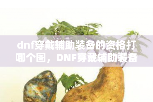 dnf穿戴辅助装备的资格打哪个图,DNF穿戴辅助装备的资格,解锁全新战斗体验 dnf穿戴辅助装备的资格打哪个图,DNF穿戴辅助装备的资格,解锁全新战斗体验