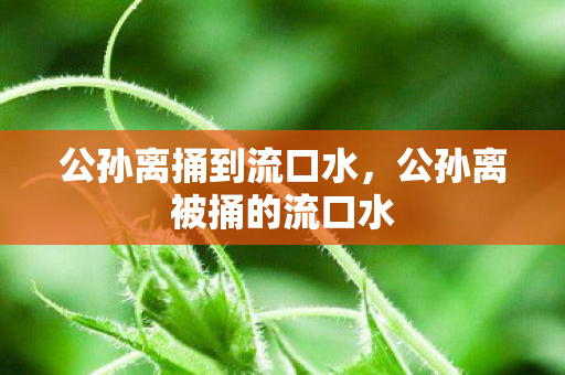 公孙离捅到流口水，公孙离被捅的流口水