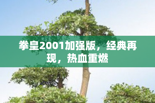 拳皇2001加强版,经典再现,热血重燃 拳皇2001加强版,经典再现,热血重燃