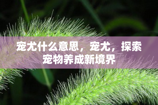 宠尤什么意思,宠尤,探索宠物养成新境界 宠尤什么意思,宠尤,探索宠物养成新境界