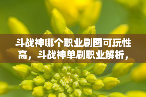 斗战神哪个职业刷图可玩性高,斗战神单刷职业解析,谁才是单刷之王? 斗战神哪个职业刷图可玩性高,斗战神单刷职业解析,谁才是单刷之王?