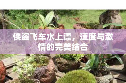 侠盗飞车水上漂,速度与激情的完美结合 侠盗飞车水上漂,速度与激情的完美结合