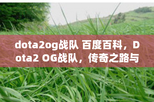 dota2og战队 百度百科，Dota2 OG战队，传奇之路与荣耀时刻