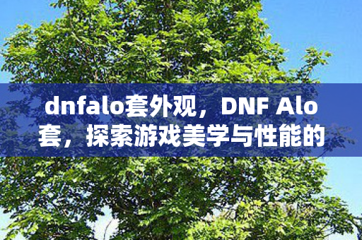 dnfalo套外观,DNF Alo套,探索游戏美学与性能的完美融合 dnfalo套外观,DNF Alo套,探索游戏美学与性能的完美融合